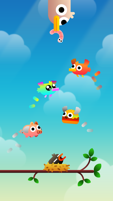 تصاویر Birdy Trip