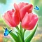 Bloom Match Story -Flower Sort