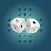 solo goli - Hardest IQ Puzzle