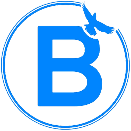BlueBook