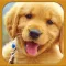 Pet Routine Planner