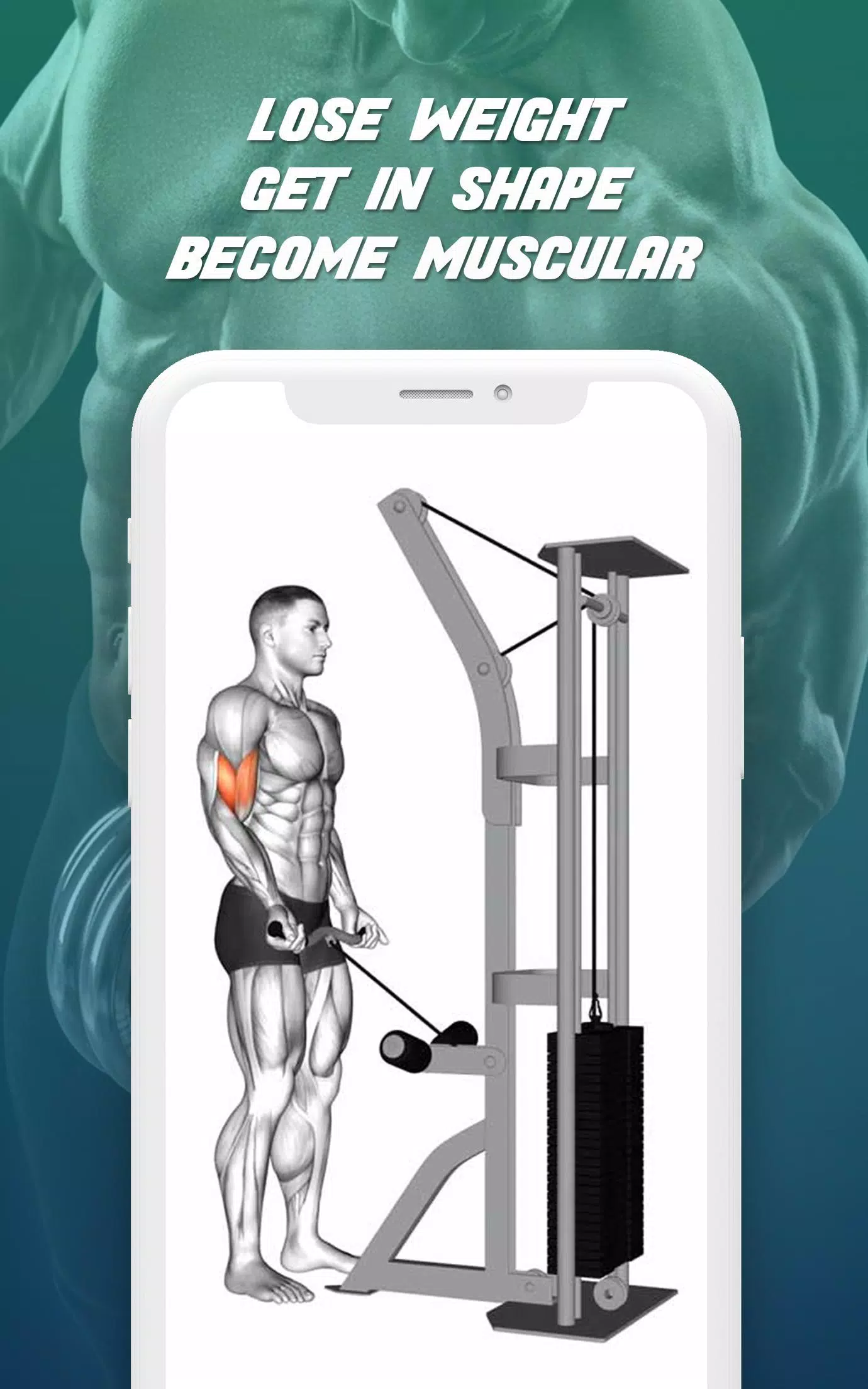 Gym Workout Fitness Planner Screenshots