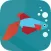 Betta Fish Guide