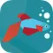 Betta Fish Guide