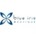 Blue Iris Boutique