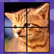 Puzzle Rotation