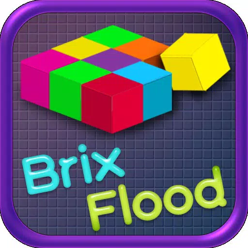 Brix Flood Brix Flood
