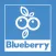 Blueberry Novel