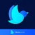Blue Sparrow