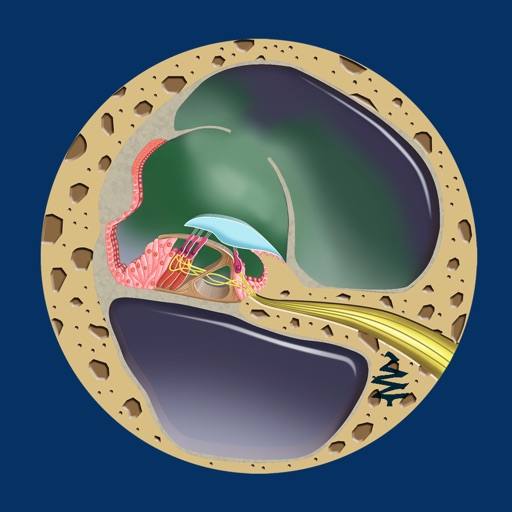Ear Disorders: Inner Ear Disorders: Inner