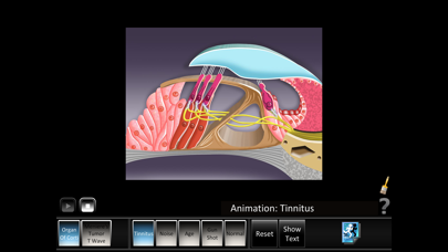 Ear Disorders: Inner Screenshots