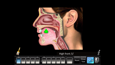 Vowels Front Back Screenshots