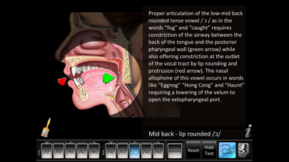 Vowels Front Back Screenshots