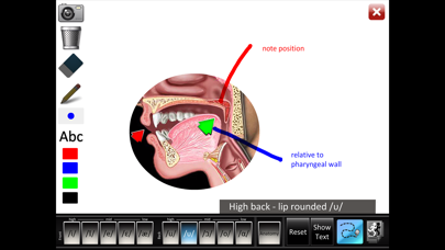 Vowels Front Back Screenshots