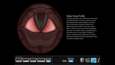 Paresis/Paralysis Screenshots