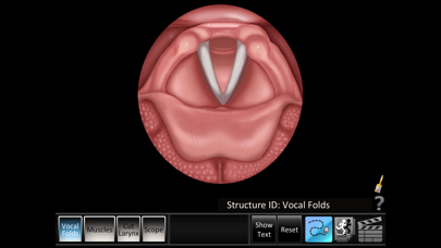 Vocal Folds ID Screenshots