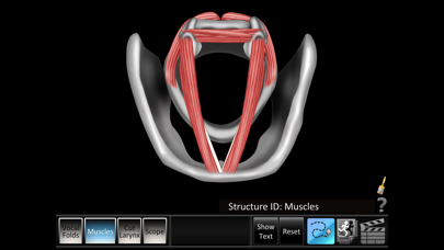 Vocal Folds ID Screenshots