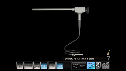 Vocal Folds ID Screenshots