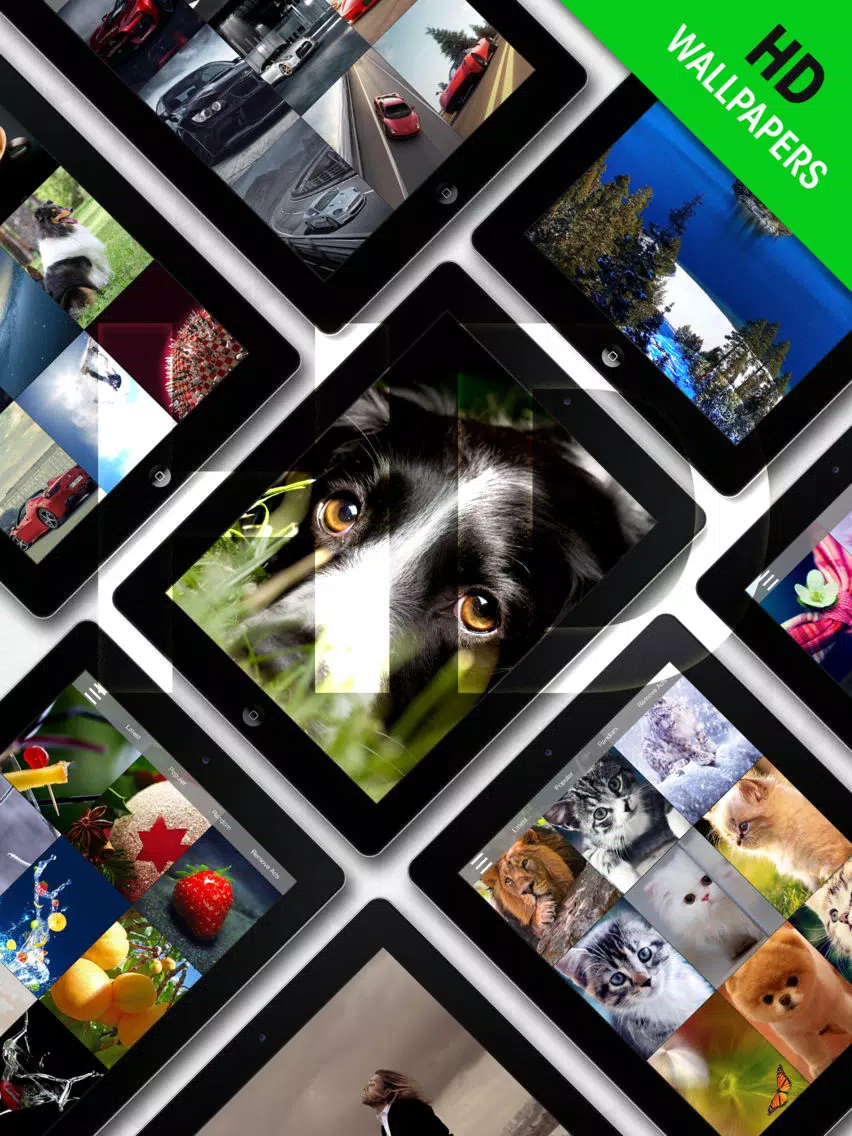 Pro HD Wallpapers Free - HD Wallpaper for iPhone, iPod and iPad, customize and edit High Definition pictures and photos in iOS7 and iOS6, Lock and Home Screen Wallpapers optimized for Retina Display iPad Screenshots