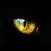 New Catcheye Plus