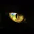 catcheye