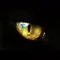 catcheye