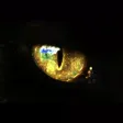 catcheye catcheye