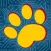 PetTest Digital Companion App