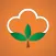 MORO Cotton Calculator