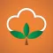 MORO Cotton Calculator