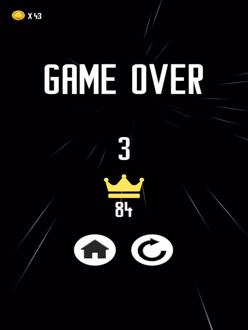 Zebra Road iPad Screenshots