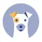 Vet Record Careers