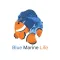 Blue Marine Life Qatar