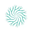Total Neuropathy Solution