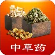 中草药百科