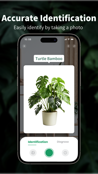 Captures d'écran de Talking Plant