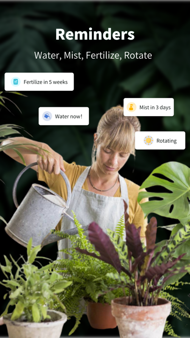 Captures d'écran de Talking Plant