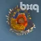 bodyxq cell library