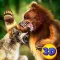 Bear Kung Fu Animal Fighting