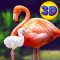 Wild Pink Flamingo Sim