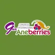 Aneberries Connect