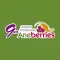 Aneberries Connect