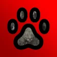 Wildlife Handbook for RDR2