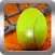 Real Tennis Pro