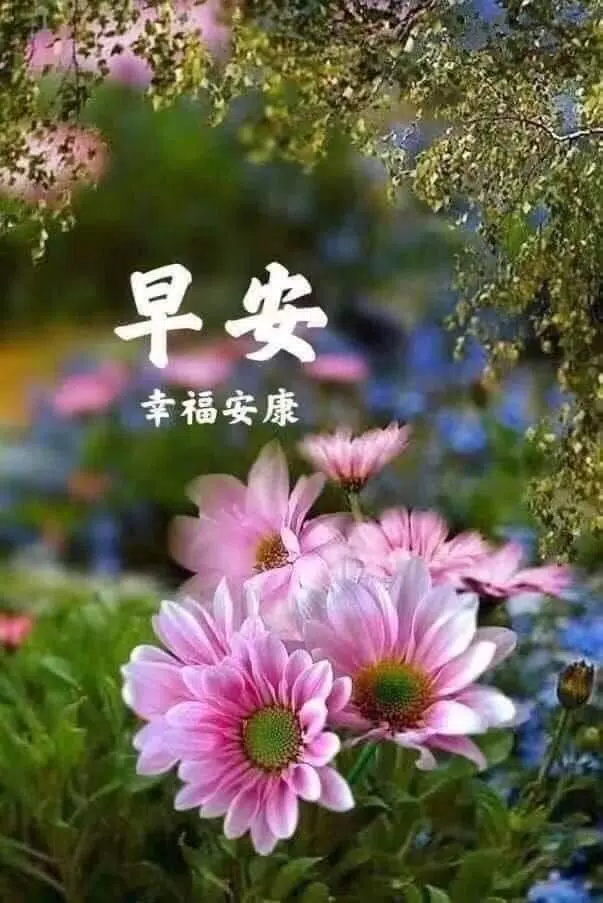 早安晚安图片 2025 Screenshots