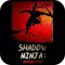 Shadow Ninja: Apocalypse