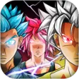Power Level Warrior 2