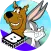 Boomerang