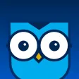Owl Decide Owl Decide