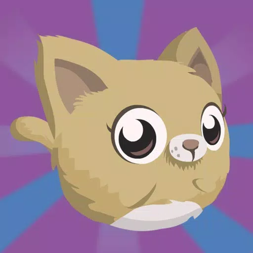 Kitty Meow Meow adorable - Cat Jump Night Kitty Meow Meow adorable - Cat Jump Night